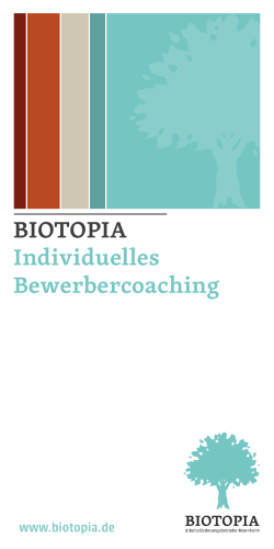 Flyer Individuelles Bewerbercoaching – PDF