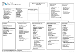 Organigramm Amt f&uuml;r Jugend und Berufsberatung
