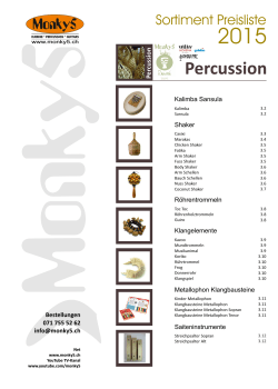 Percussion Shaker