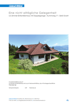 doku_Gwatt Kummweg 17l_141008.indd