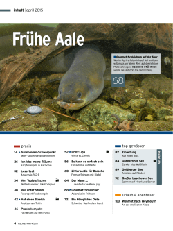 Frühe Aale - Fisch & Fang