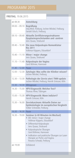 Programm als pdf