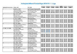 Volleyball-Mixed-Freizeitliga 2014/15: 1. Liga