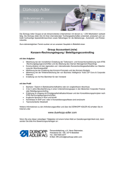 Group Accountant (m/w) Konzern