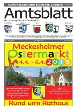 Direktlink zum Amtsblatt 13