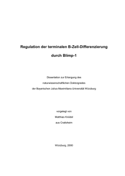 Dokument_1. - OPUS W&uuml;rzburg