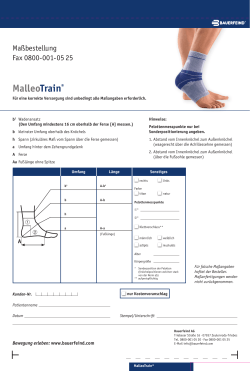 Ma&szlig;blatt MalleoTrain