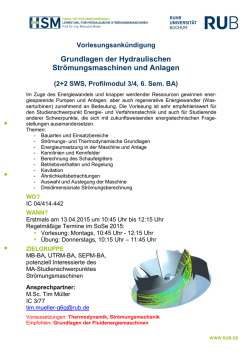Grundlagen der Hydraulischen Str&ouml;mungsmaschinen und Anlagen