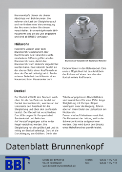 Datenblatt Brunnenkopf - Beckert Brunnentechnik GmbH