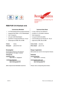 REM PUR 310 Klarlack wvb