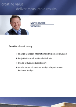 Funktionsbezeichnung: - Martin Dvorak Consulting