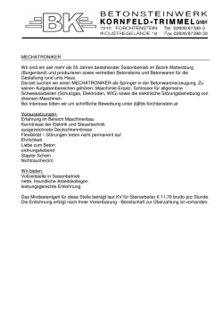 Inserat Mechatroniker Springer 090315