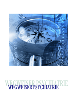 Wegeiser 2015 Programm final