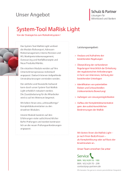 SYSTEM-Tool MaRisk Light.indd