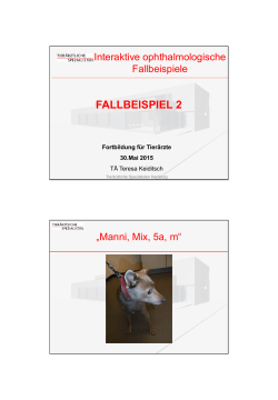FALLBEISPIEL 2