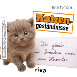 Katzen-