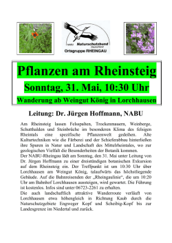 Informationen zum