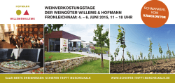 zum Flyer - Willems & Hofmann