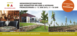 zum Flyer - Willems & Hofmann