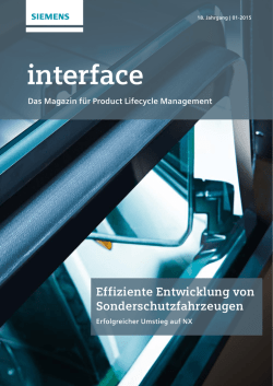 interface - FEM