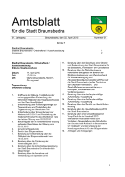 Amtsblatt Nr. 01 - Stadt Braunsbedra