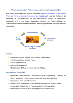 Handreichung Lehrforschung