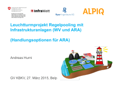 Handlungsoptionen f&uuml;r ARA