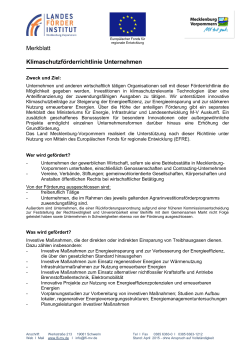 Kurzinformation Unternehmen - Landesförderinstitut Mecklenburg