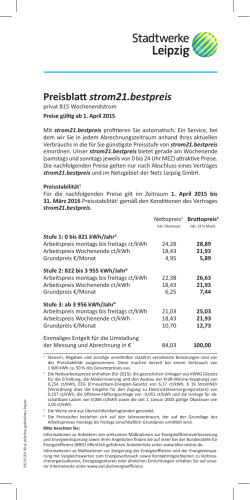 Preisblatt strom21.bestpreis