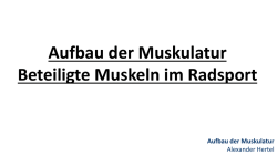 Aufbau der Muskulatur - Bayerischer Radsportverband