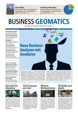 Geomarketing - Business Geomatics