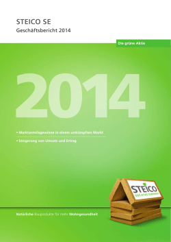 Konzernlagebericht zum 31. dezember 2014 der StEIcO SE