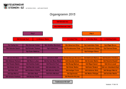 Mannschaft-Organigramm 2015