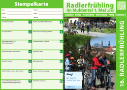 Programm zum