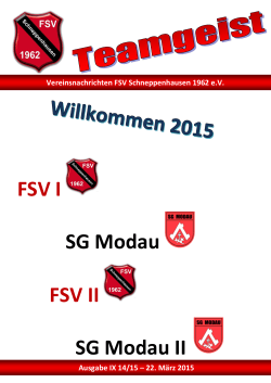 Teamgeist 22.03.2015 - FSV Schneppenhausen