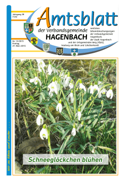 13/2015 - Stadt Hagenbach