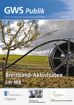 GWS Publik Ausgabe 1|2015