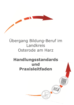 Handlungsstandard und Praxisleitfaden f&uuml;r den &Uuml;bergang Bildung