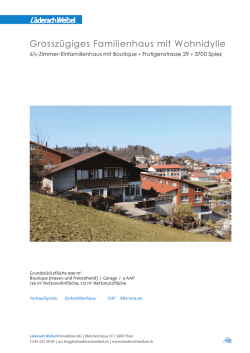 doku_Spiez, Frutigenstrasse 29_150331.indd