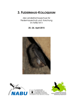 Programm und Organisation