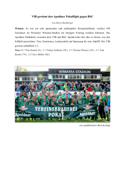 VfB gewinnt den Apoldaer Pokalfight gegen BSC