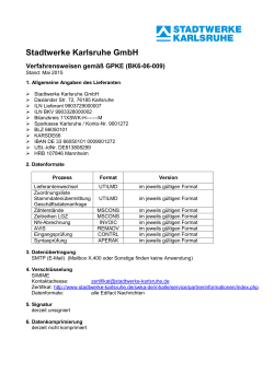 Vorlage für PDF InfoblattGPKE Strom Stand Mai 2015