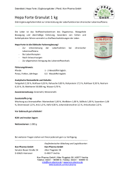 Hepa Forte Granulat 1 kg - Kon