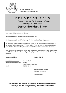 Infos Feldtest Bilten - Haflinger Ostschweiz