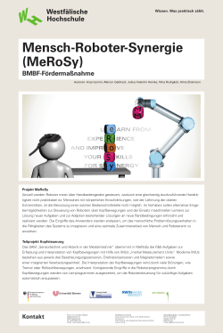 BMBF-Fördermaßnahme Projekt MeRoSy