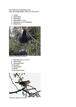 Die V&ouml;gel des Federseemoores