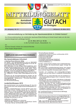 Gutach KW 12 ID 101510 - bei der Gemeinde Gutach im Breisgau