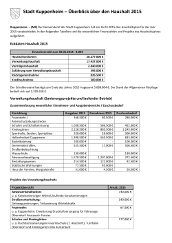 Stadt Kuppenheim Überblick über den Haushalt 2015
