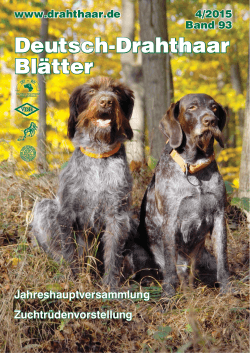 Deutsch-Drahthaar Blätter