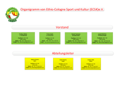 Visio-2013-11-01 Ethio-Colonge organigramm.vsd